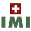 ici-luzern.com