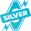 silverpumps.com