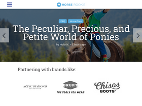 'horserookie.com' screenshot