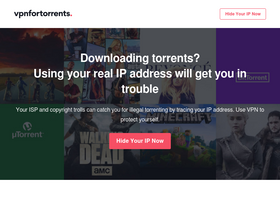 'torrent-protection.com' screenshot