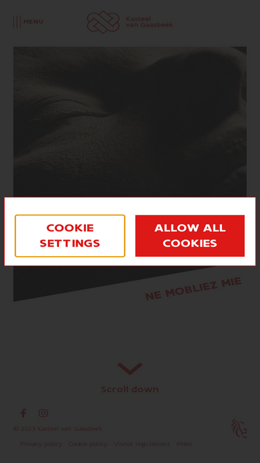 kasteelvangaasbeek.be