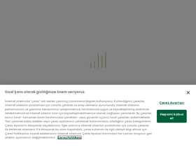 'sisalsans.com' screenshot