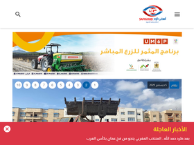 'safigoud.com' screenshot