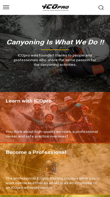 icopro.org