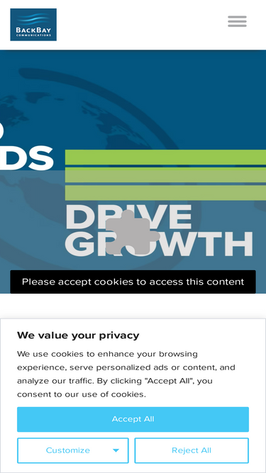 backbaycommunications.com