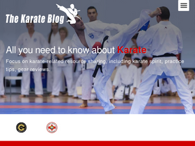 thekarateblog.com