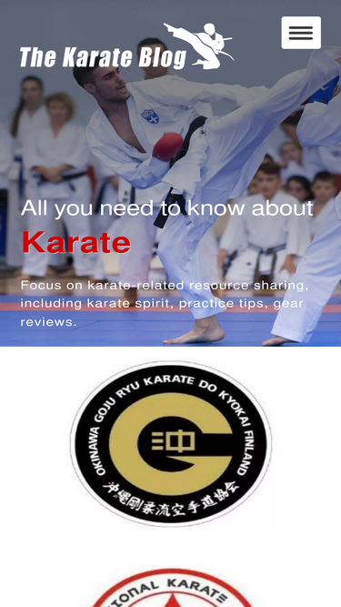 thekarateblog.com