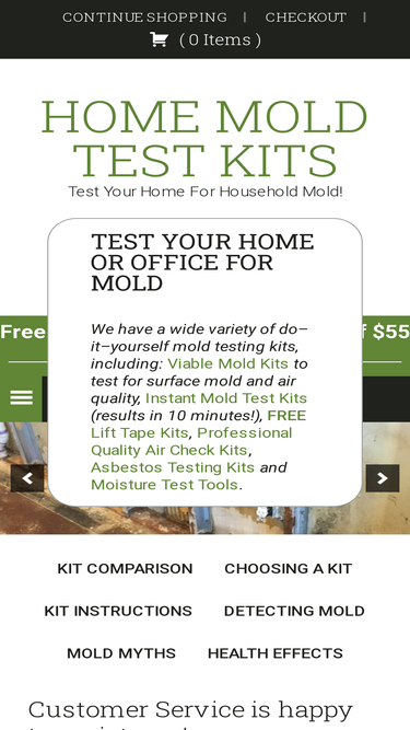 homemoldtestkit.com