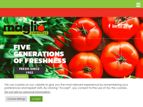 maglioproduce.com
