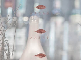 wasabidsm.com