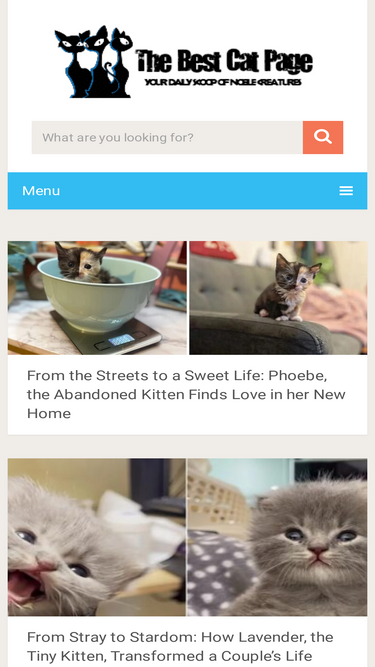 thebestcatpage.com