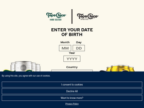 'topochicohardseltzerusa.com' screenshot