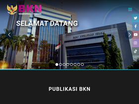 'sscasn.bkn.go.id' screenshot