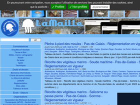 opalesurfcasting.net