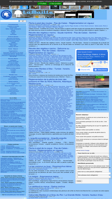 opalesurfcasting.net