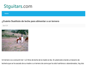 'stguitars.com' screenshot
