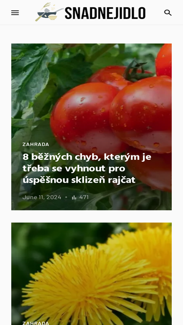 snadnejidlo.com