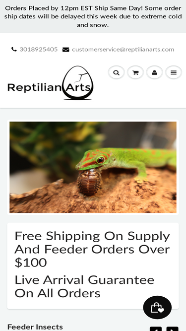 reptilianarts.com