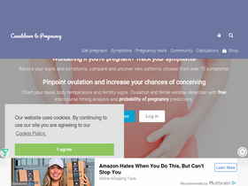 'countdowntopregnancy.com' screenshot
