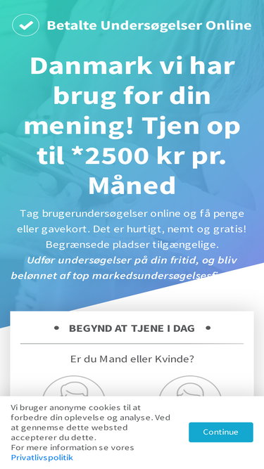 betalteundersogelseronline.com