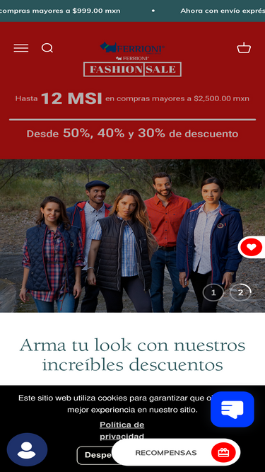 ferrioni.com