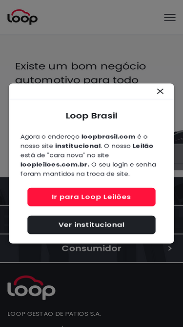 loopbrasil.com