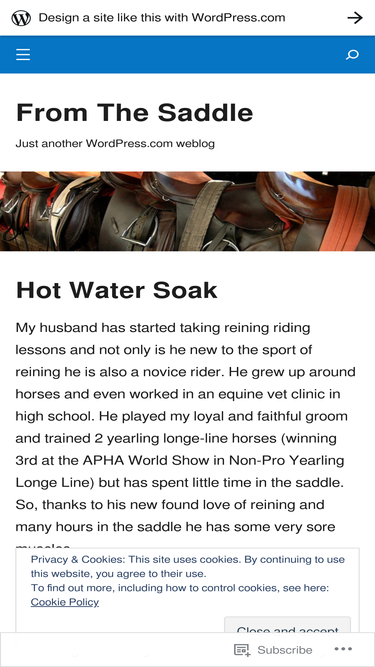 bestfromthesaddle.wordpress.com