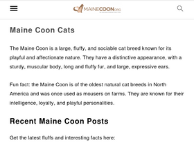 'mainecoon.org' screenshot