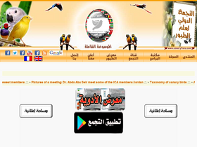 'canaryfans.com' screenshot