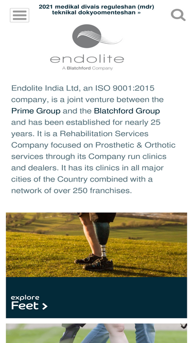 endoliteindia.com