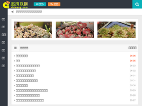 'drlmeng.com' screenshot