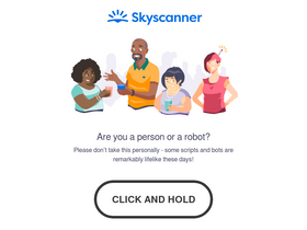 'skyscanner.ae' screenshot