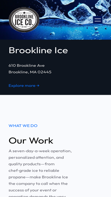 brooklineice.com