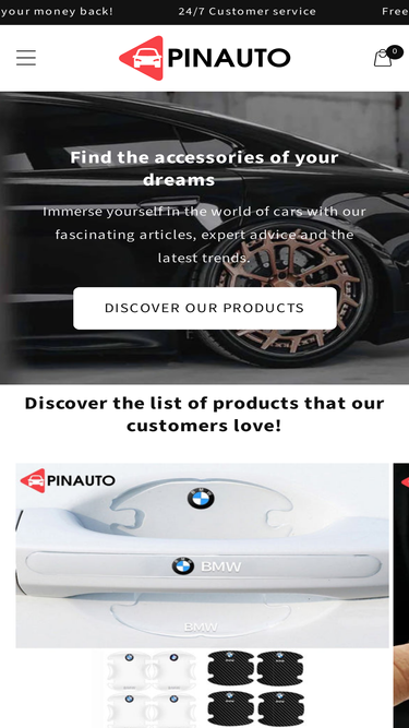pinauto-store.com