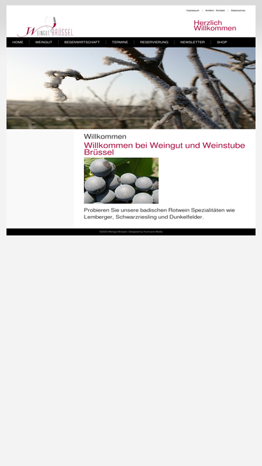 weingut-bruessel.de