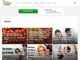 'timelesslife.info' screenshot