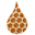 bindaree.com.au