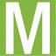 futurelmt.com