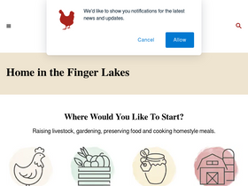 'homeinthefingerlakes.com' screenshot