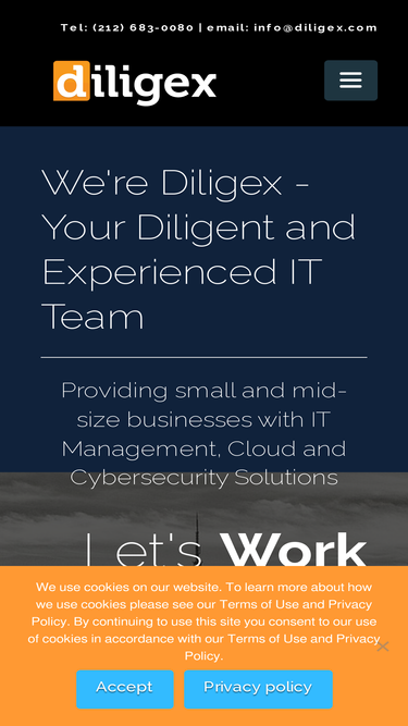diligex.com