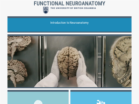 'neuroanatomy.ca' screenshot