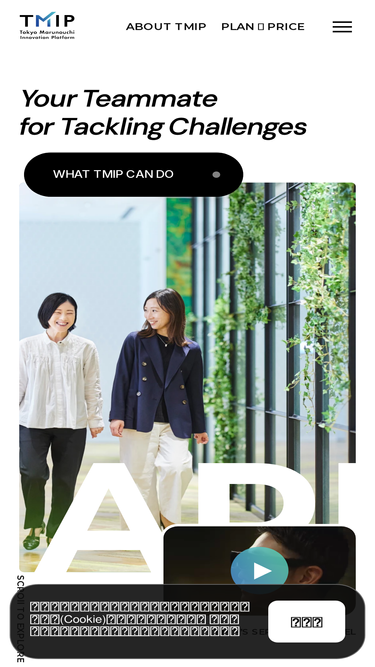 tmip.jp