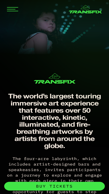transfixart.com