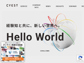 cyestc.com