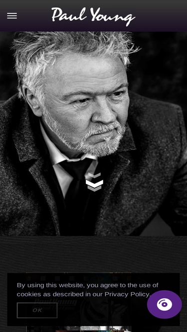 paul-young.com