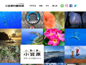 'visitogasawara.com' screenshot