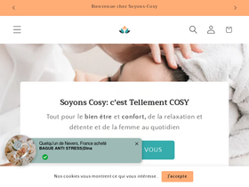 soyons-cosy.com homepage screenshot