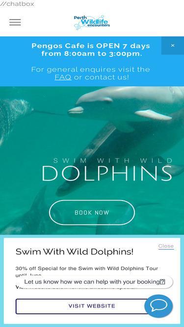 dolphins.com.au