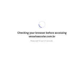 vesselvascular.com.br