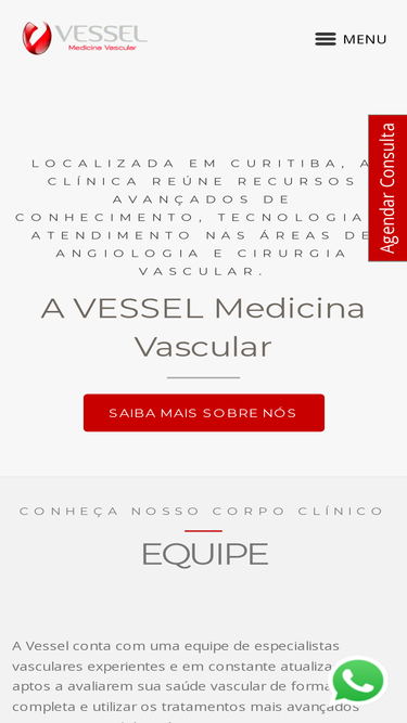 vesselvascular.com.br